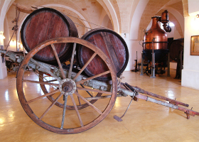 Museo della Civiltà del Vino Primitivo