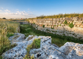Senso Primitivo: il sapore della storia, il gusto a tavola