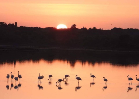 La mia oasi. Bellezza e benessere nelle riserve naturali